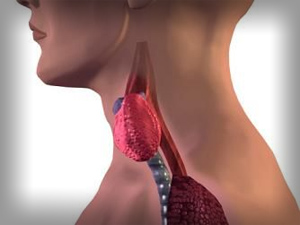 low thyroid symptoms
