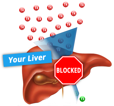 blocked-liver