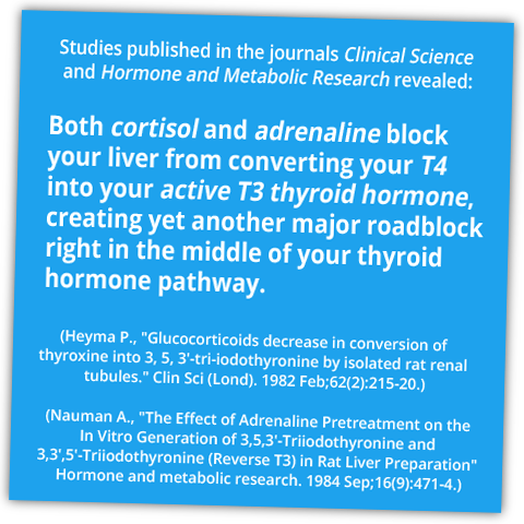thyroid-cortisol-adrenaline-studies